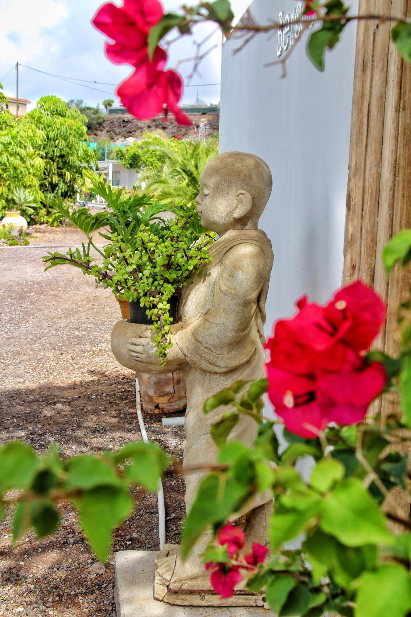 Finca Berolo 4 Guía de Isora Zewnętrze zdjęcie